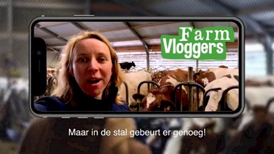 Wat gebeurt er op de boerderij?