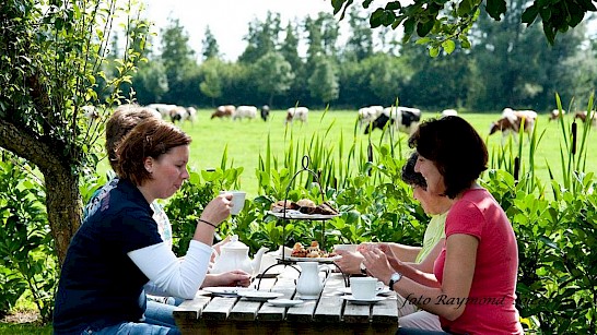 Lunchen bij de boer