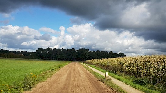 Paardrijroute langs de grens van Duitsland