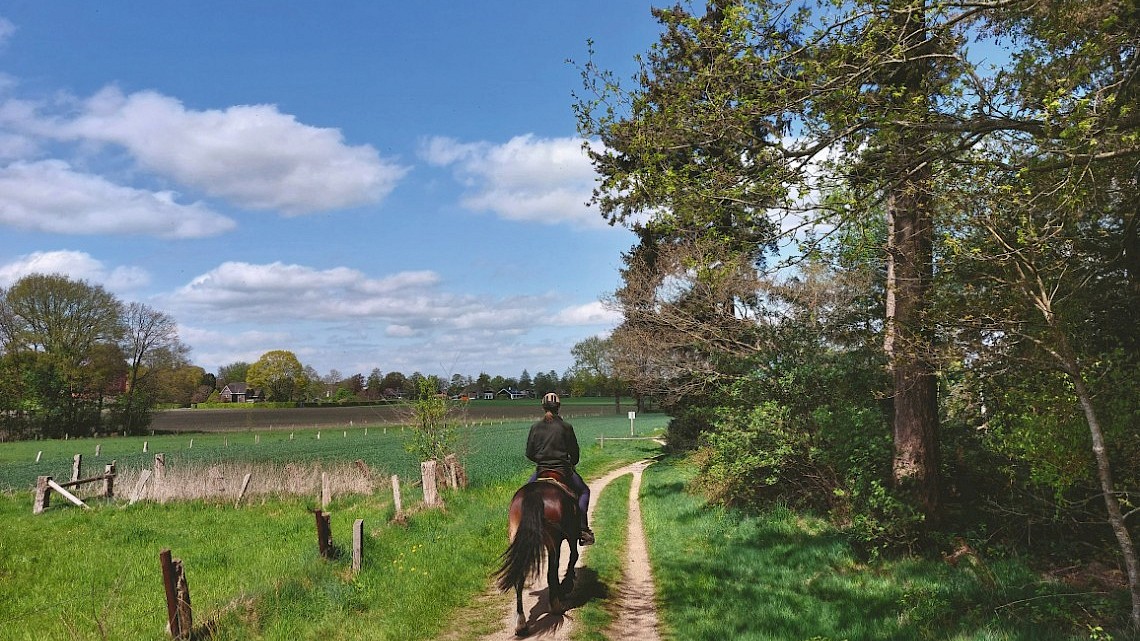 Paardrijden rondom de Lochemse berg