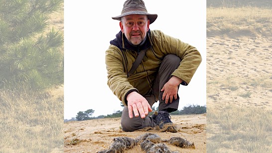 Spoorzoeken op de Veluwe met Jeroen Kloppenburg