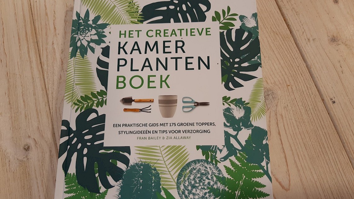 Creatieve kamerplantenboek