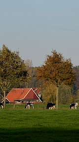 Bi'j de "pinken".... (geüpload door Itie Peppelman)